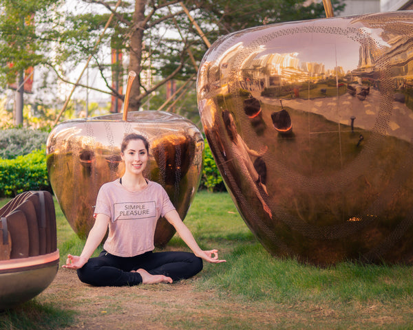 Holosomatic Energy® Training